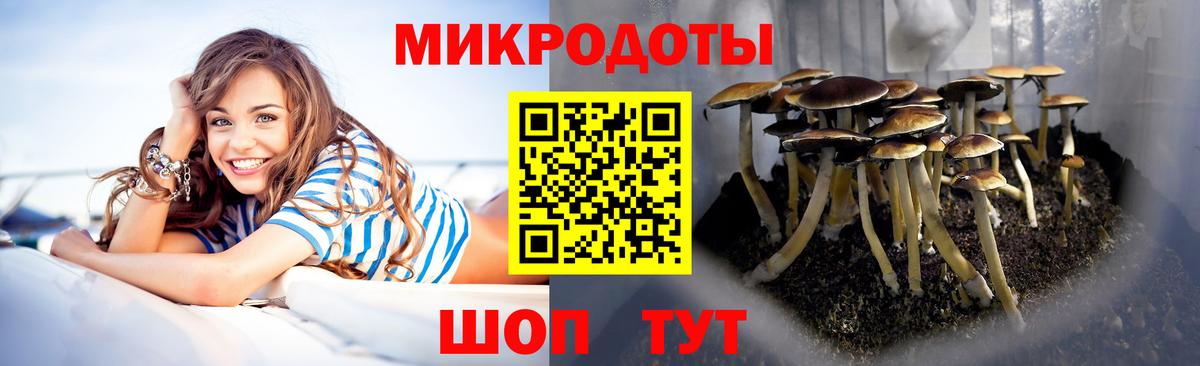 Галлюциногенные грибы мицелий  Псилоцибиновые грибы Psilocybe  Александров  Вход с VPN 